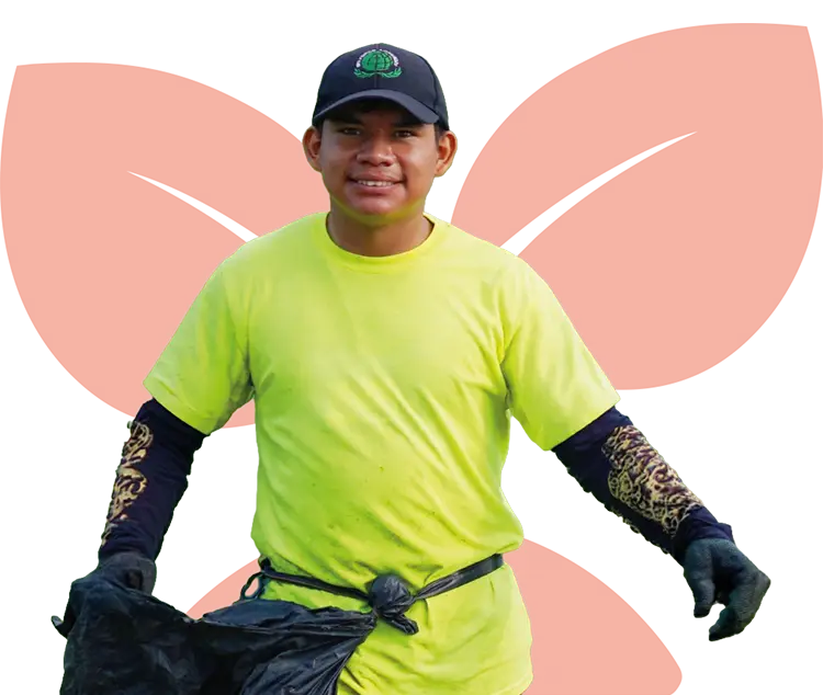 Imagen Visión